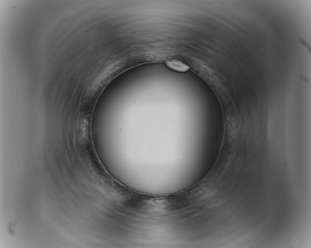 X0000102830071200808251143