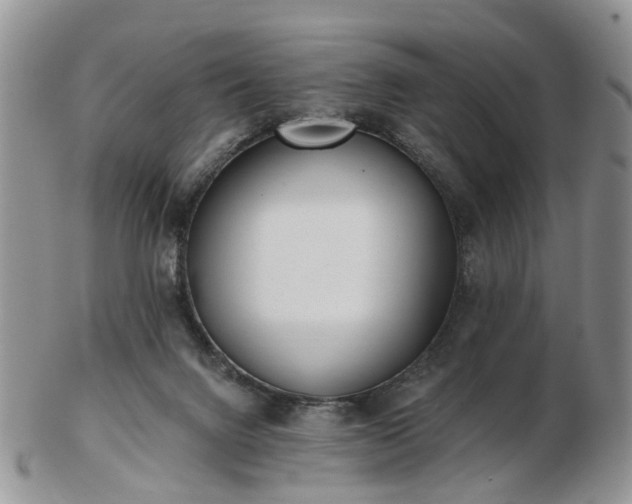 X0000102830072200808251143