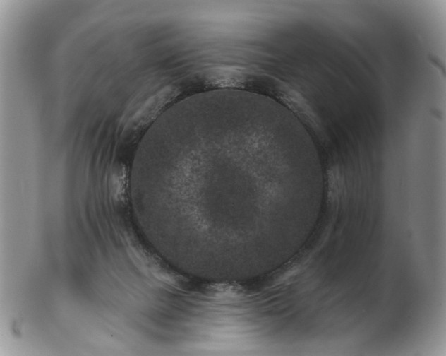 X0000102830073200808251143