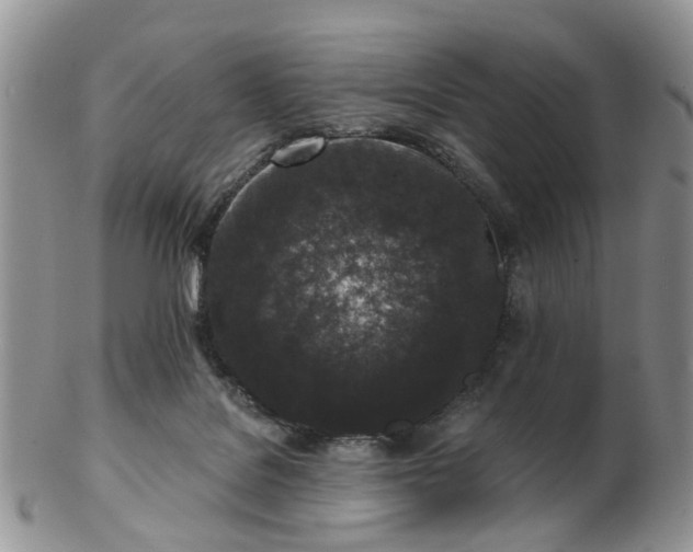 X0000102830076200808251143