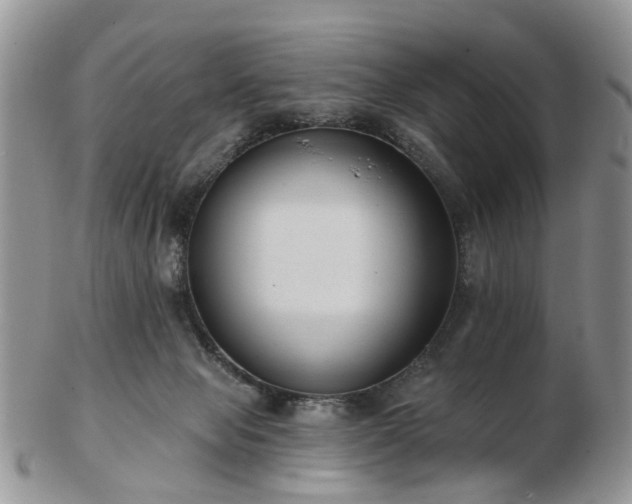 X0000102830077200808251143