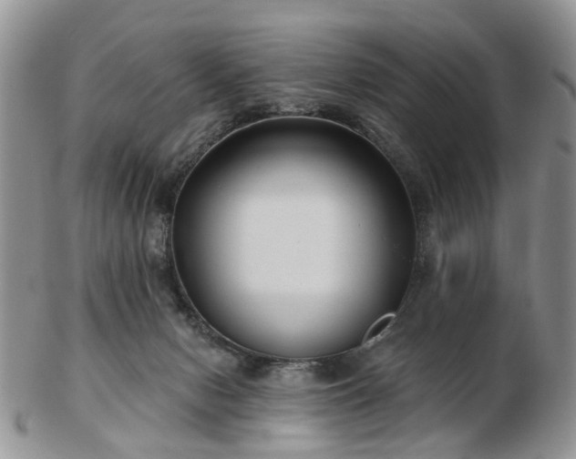 X0000102830078200808251143