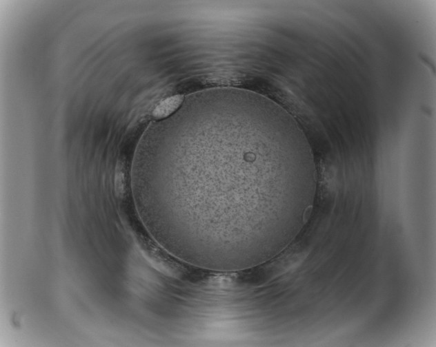 X0000102830080200808251143