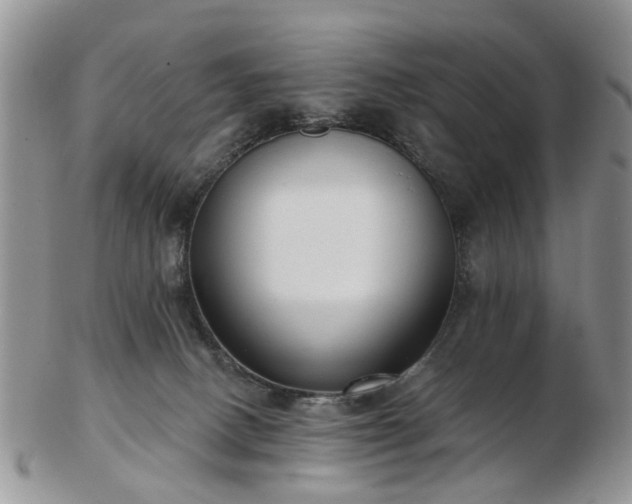 X0000102830082200808251143