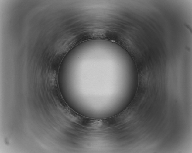 X0000102830083200808251143