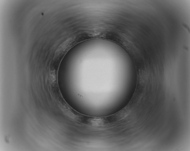 X0000102830085200808251143