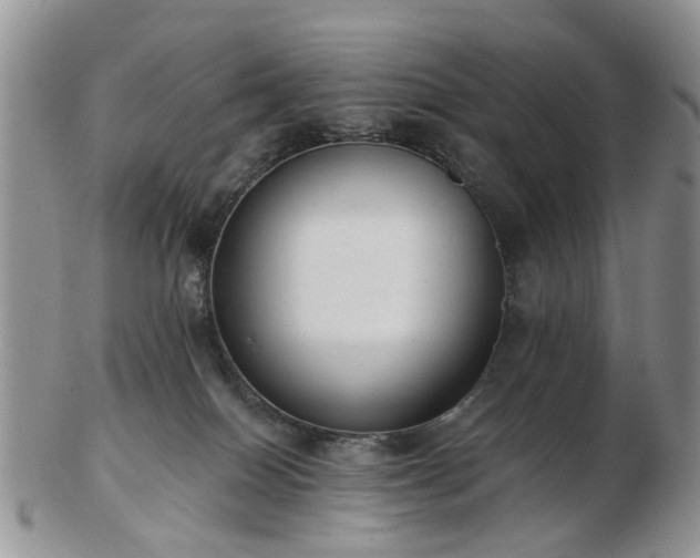 X0000102830086200808251143