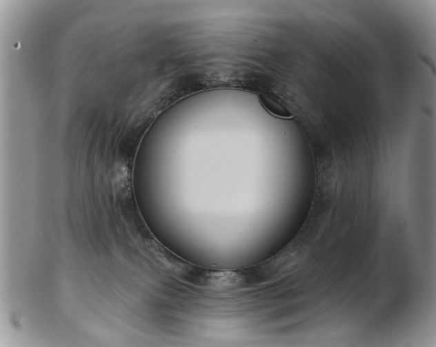 X0000102830087200808251143