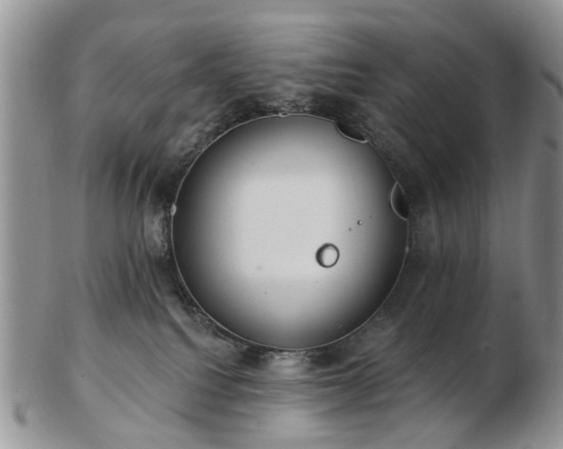 X0000102830088200808251143