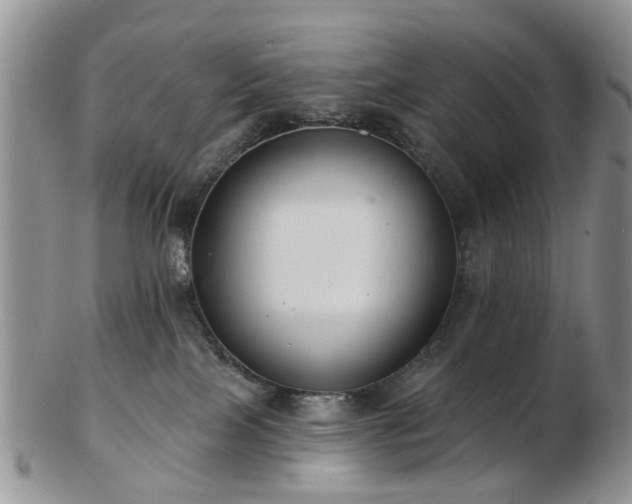 X0000102830089200808251143