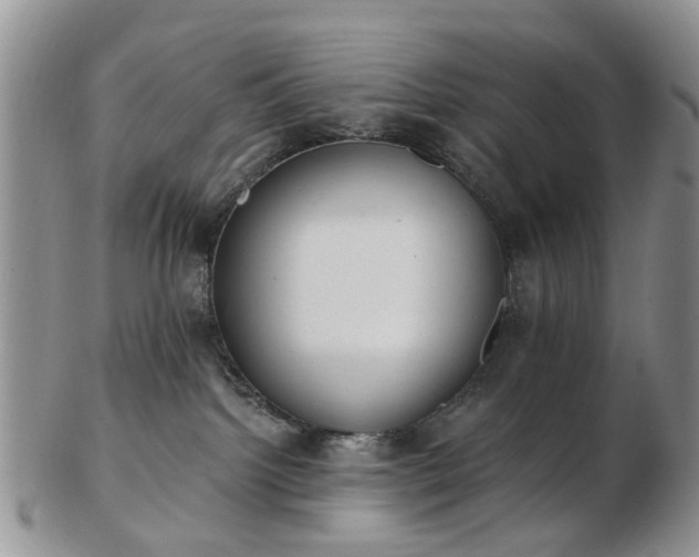 X0000102830092200808251143