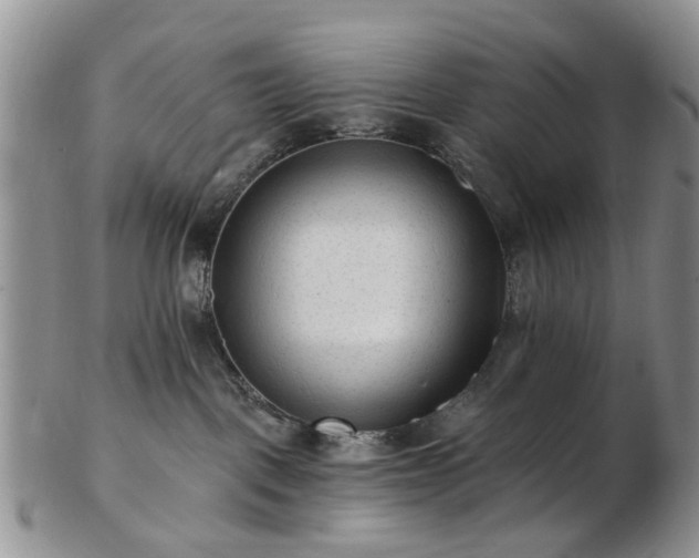 X0000102830093200808251143