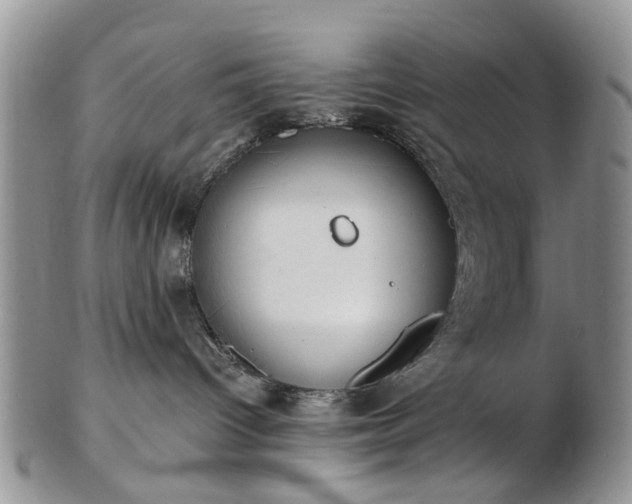 X0000102830096200808251143