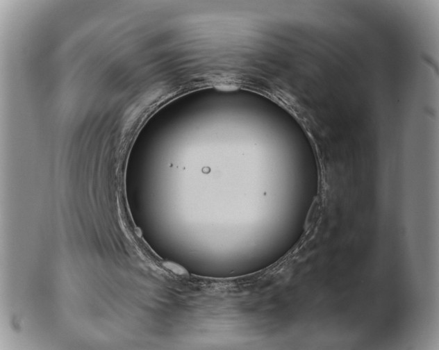 X0000102830097200808251143