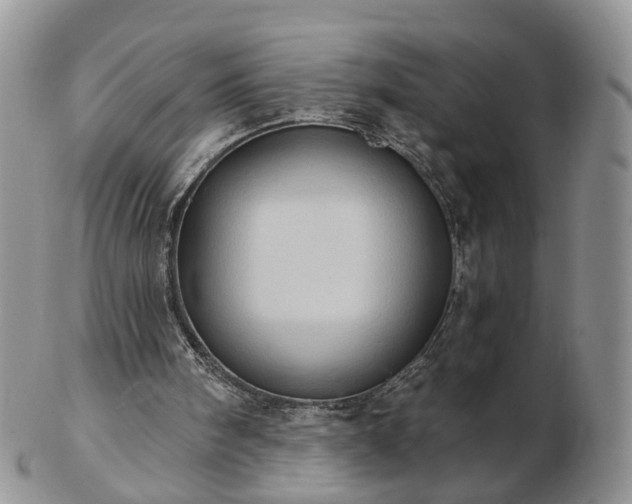 X0000102830098200808251142