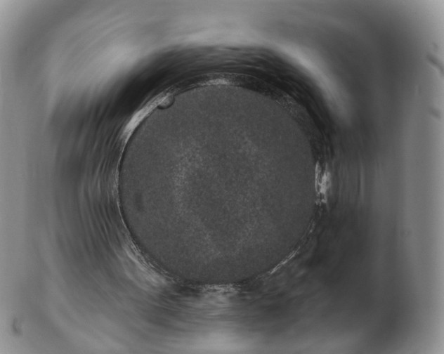 X0000102830099200808251142