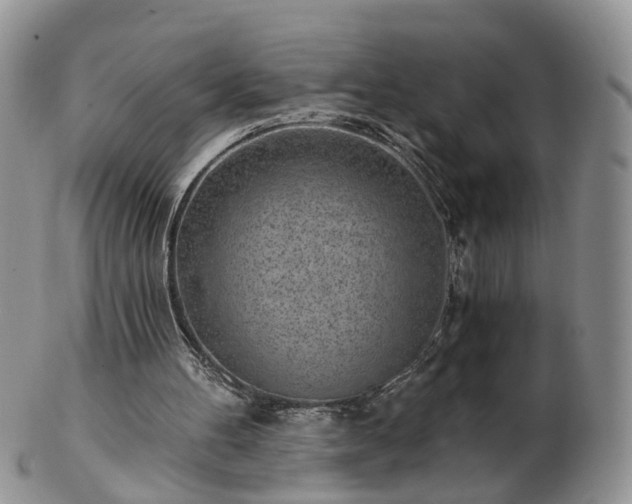 X0000102830100200808251142