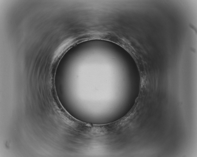 X0000102830101200808251142