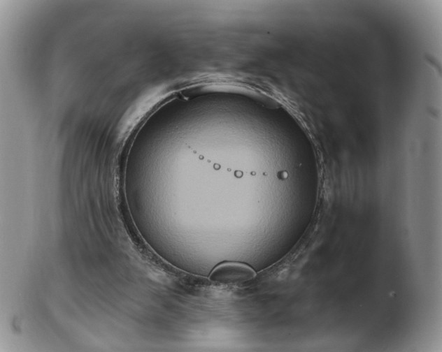 X0000102830103200808251142