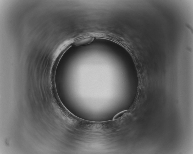 X0000102830104200808251142