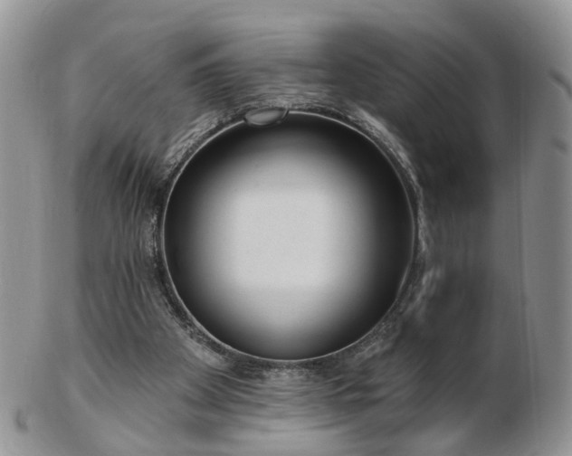 X0000102830105200808251142