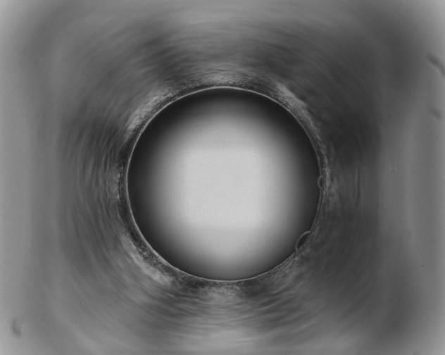 X0000102830106200808251142