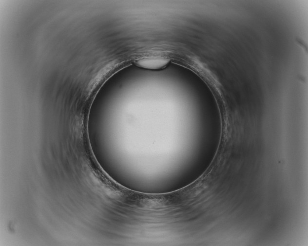 X0000102830107200808251142