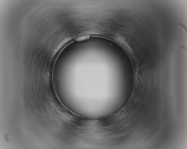 X0000102830108200808251142