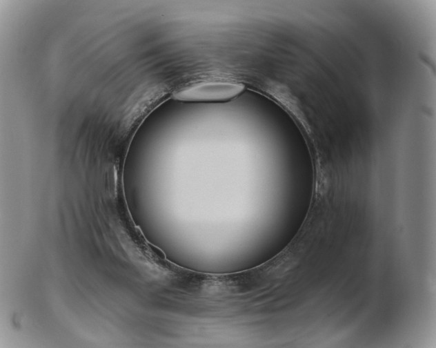 X0000102830109200808251142