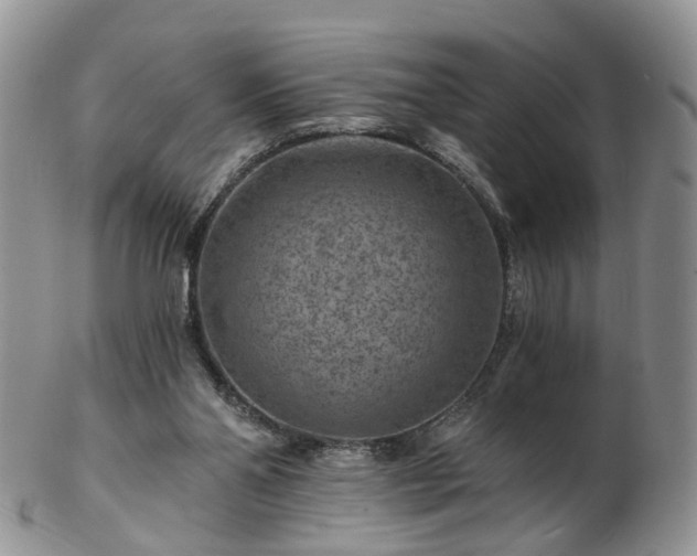 X0000102830110200808251142