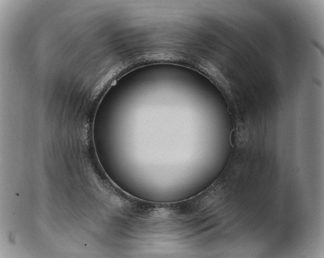 X0000102830111200808251142