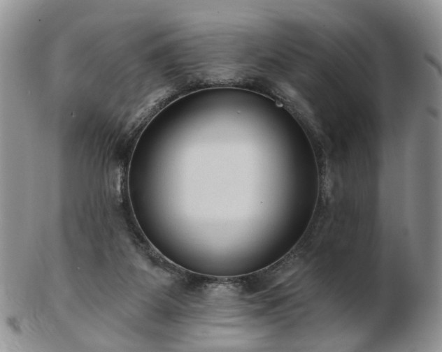 X0000102830115200808251142