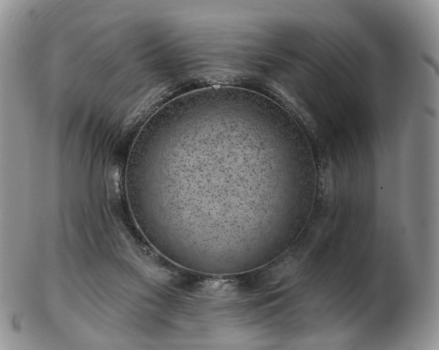 X0000102830117200808251142