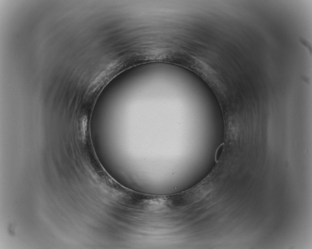 X0000102830118200808251142