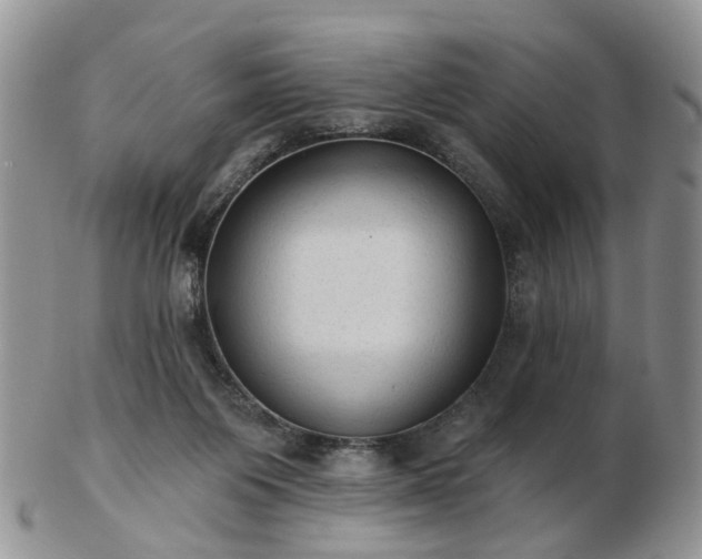 X0000102830119200808251142