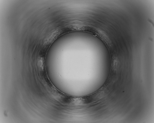 X0000102830121200808251142