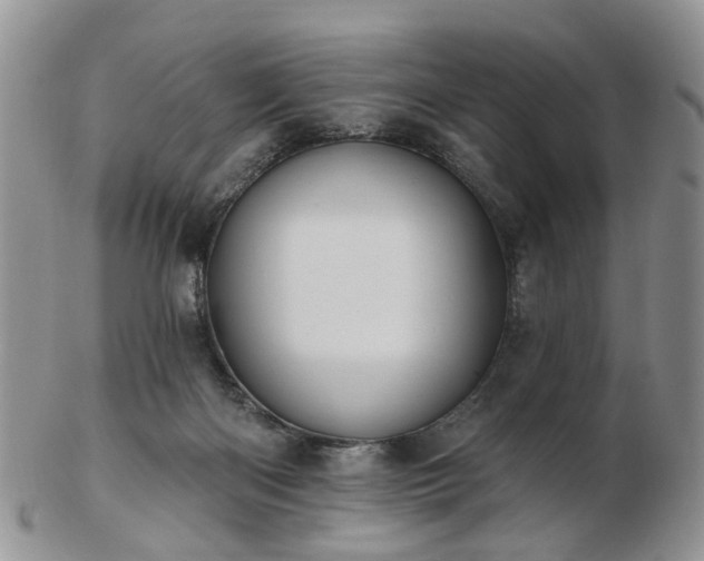 X0000102830122200808251142