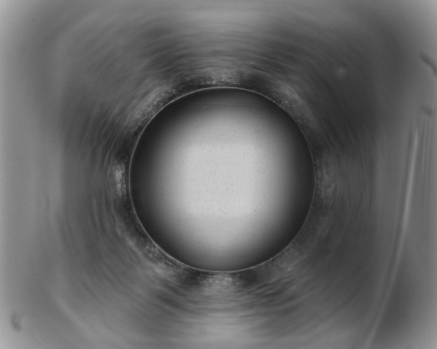 X0000102830123200808251142