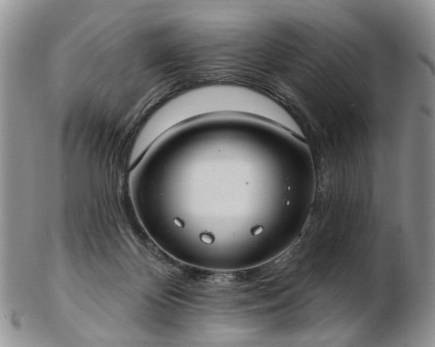 X0000102830124200808251142