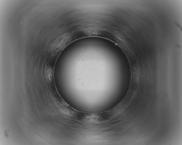 X0000102830125200808251142