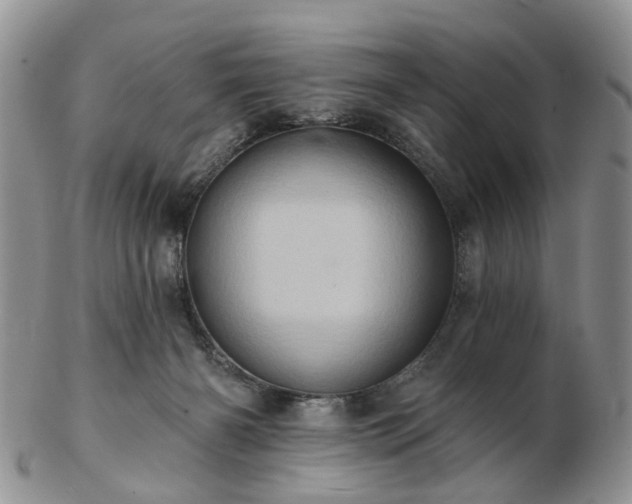 X0000102830126200808251142