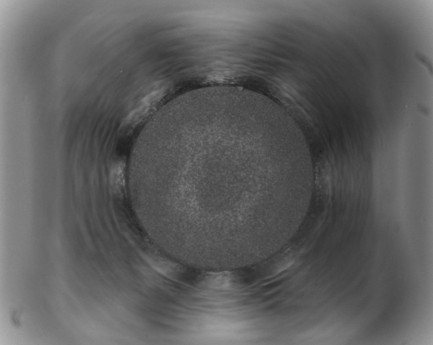 X0000102830127200808251142