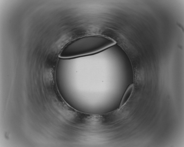 X0000102830128200808251142