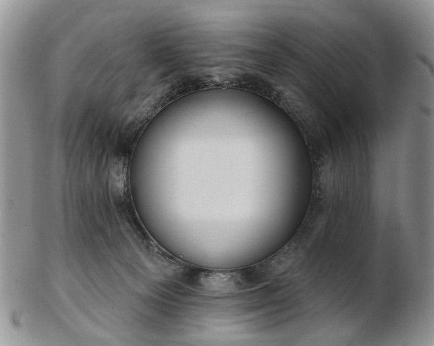 X0000102830129200808251142