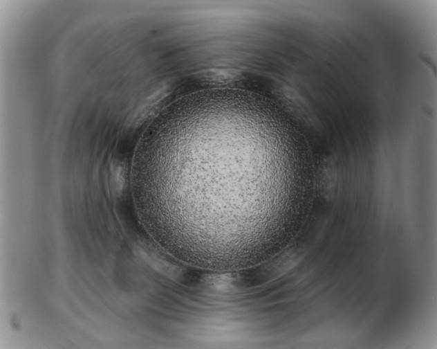 X0000102830131200808251142