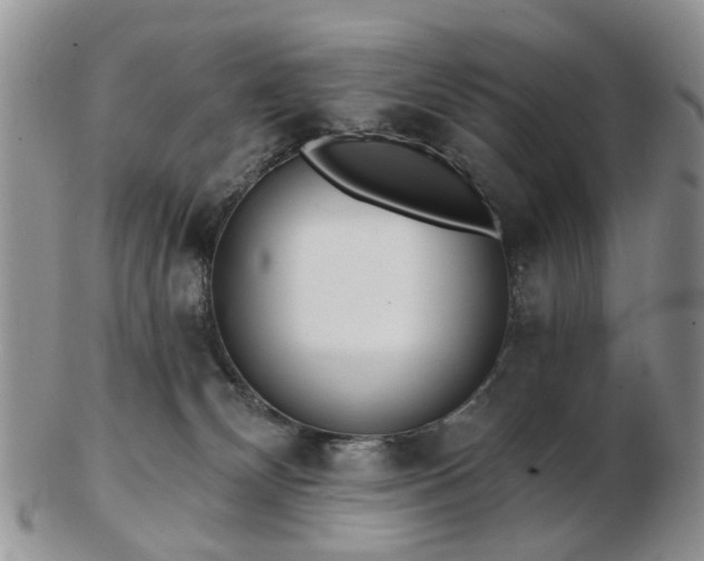 X0000102830132200808251142