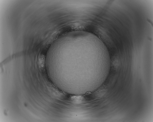 X0000102830133200808251142