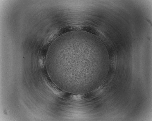 X0000102830134200808251142