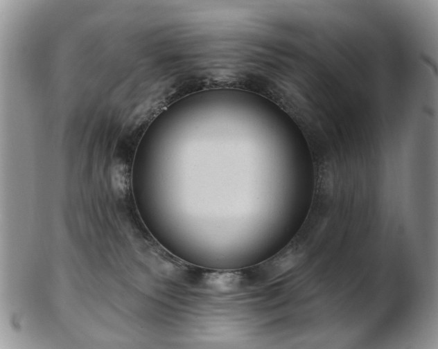 X0000102830135200808251142