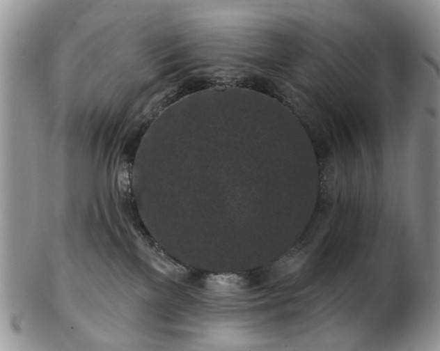 X0000102830137200808251142